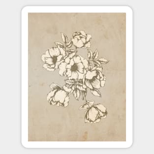 Vintage roses Sticker